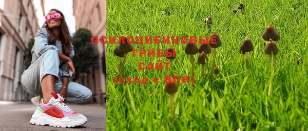 ALPHA-PVP Богородицк