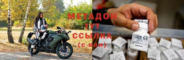 прущие грибы Бугульма