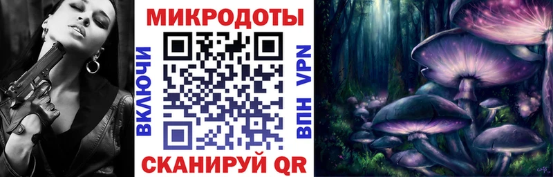 Галлюциногенные грибы Cubensis мориарти формула Кизилюрт